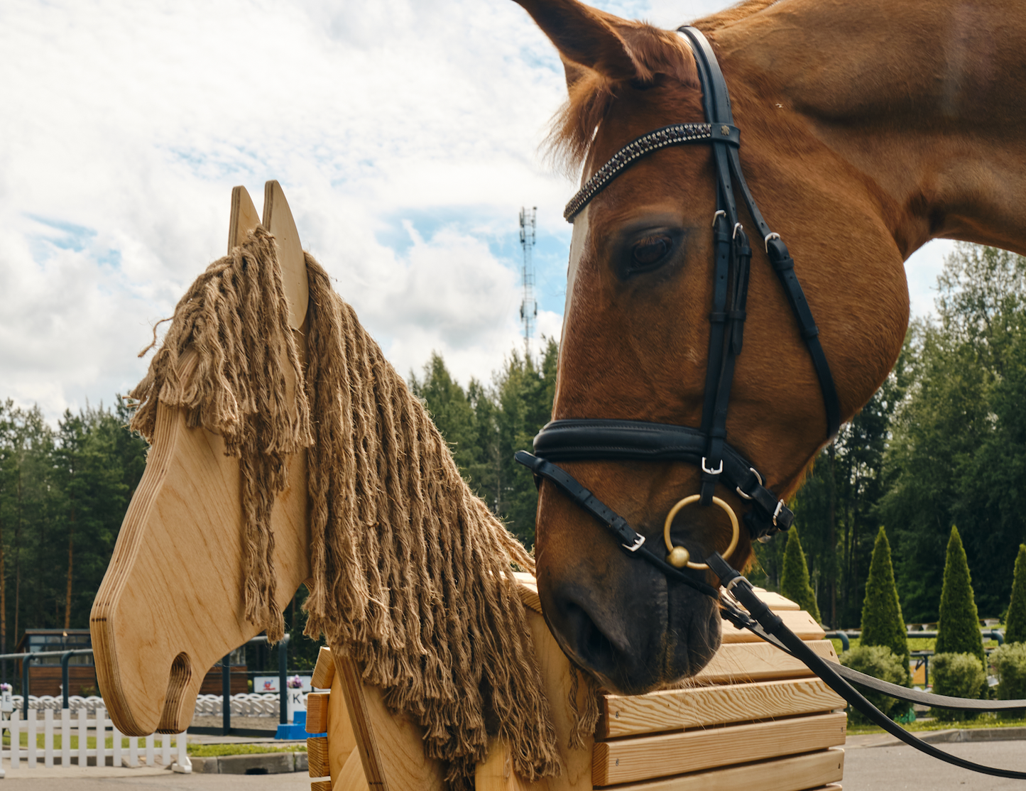 Holzpferd, wooden horse meets real horse