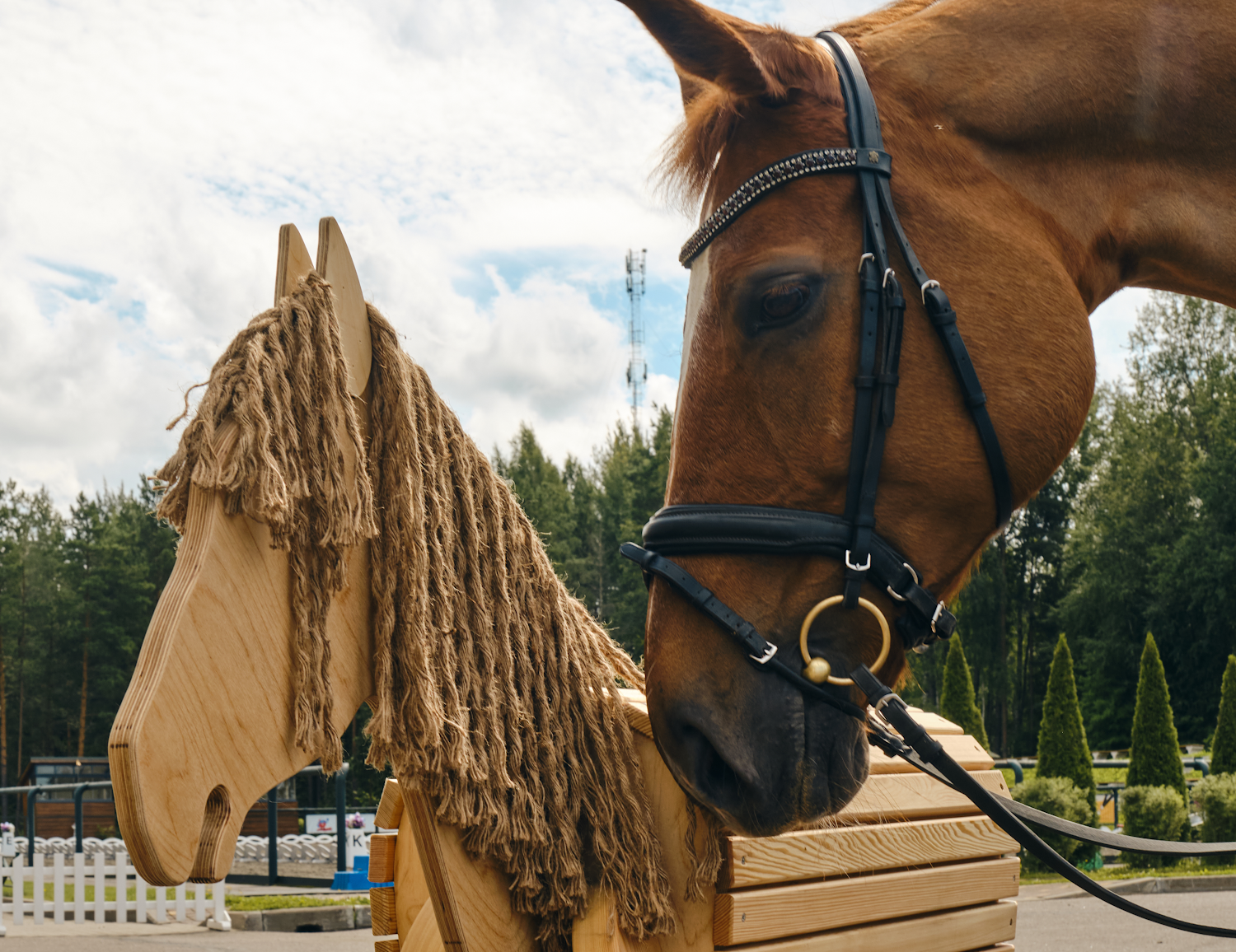 Holzpferd, wooden horse meets real horse
